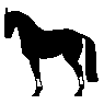 black_horse.gif
